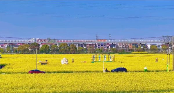 富裕配 上海乡村“猪头肉咖啡馆”，村干部变身“店小二”，村民喜听支付宝到账声